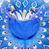 Blue Professional The Pharaoh's Daughter Costumes Tutu