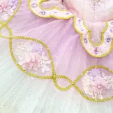 Pink Sugar Plum Fairy Ballet Tutu Stage Costumes