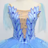 Professional Blue Bird Princess V-neck Tutu Costumes YAGP Stage