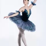 Ballet Tutu Blue Bluebird Variant Costumes Dress