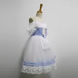 White Professional Giselle Ballet Romantic Dress